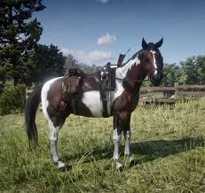 Skunk spawn locations in red dead 2 you can specifically find skunks in eris field in lemoyne. Gemma Pro Tip If You Miss The Mahogany Bay Tennessee