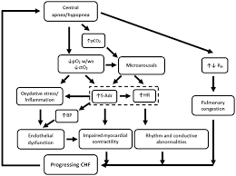 Image result for Cheyne-Stokes Respiration