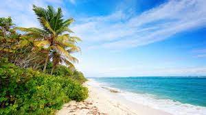Bekijk onze strandhotels in martinique en vind je ideale verblijf met behulp van onze handige zoekfilters en gastenbeoordelingen. Die 17 Schonsten Strande Auf Martinique Costa Kreuzfahrten