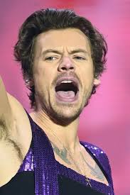 Harry Styles' stalker admits breaking into star's home despite restraining  order'