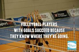 24 Motivational Volleyball Quotes And Inspirational Volleyball Images