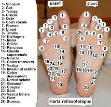 Pin By Mari Chivu On Sanatate1 Reflexoterapie In 2020 Reflexoterapie Sfaturi Piele Hartă