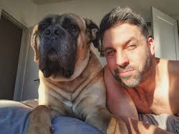 Lets see all those big fat headed mastiffs! The best breed
