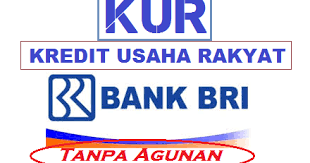 Bank yang paling dicari oleh sebagian besar masyarakat untuk melakukan pinjaman adalah bri. Cara Mengajukan Pinjaman Modal Dana Kur Bank Bri Tanpa Agunan Langsung Cair Iq Bisnis