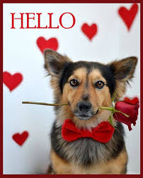 The Storybook Of Dreams & Beauty