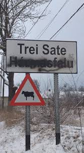 De abia am terminat de vorbit cu cei de la școală, și unul din coechiperii lui depune o plângere la poliție, și tatăl copilului acela face presiune ca să fie exmatriculat. Plangere La PoliÅ£ie DupÄƒ Ce Mai Multe Indicatoare In Limba MaghiarÄƒ Au Fost Vandalizate In JudeÅ£ele Harghita Si Mures
