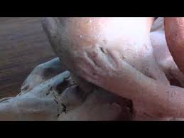 Image result for arte porno