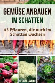 Sie suchen zusätzliche inspiration zum frühling. 43 Krauter Obst Und Gemusepflanzen Die Auch Im Schatten Wachsen Wurzelwerk Pflanzen Schatten Gemuse Pflanzen Schattengarten