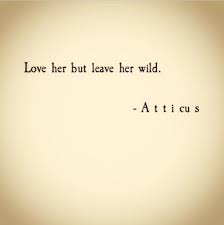 Love Her But Leave Her Wild Atticus Words Quotes To Live By Quotes