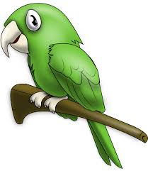 download cute parrot hq png image freepngimg download cute parrot hq png image