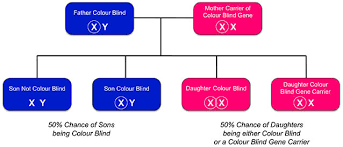 For color blind kids, it will be a challenge to pick tell his teachers he is color blind and ask them to avoid giving him tasks that are confusing for him. Inherited Colour Vision Deficiency