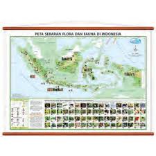 Persebaran flora dan fauna di indonesia beserta gambarnya persebaran flora dan fauna di indonesia indonesia merupakan negara yang memiliki ragam tumbuhan dan hewan yang banyak baik persebaran flora maupun fauna di indonesia sangat beragam dibedakan menjadi tipe asiatis di. Peta Persebaran Flora Dan Fauna Di Indonesia Shopee Indonesia