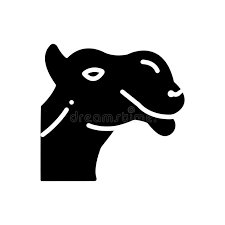 Easy step by step ! Camel Face Stock Illustrations 780 Camel Face Stock Illustrations Vectors Clipart Dreamstime