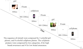 Brand awareness definition by different authors. Frontiers The Influences Of Brand Awareness On Consumers Cognitive Process An Event Related Potentials Study Neuroscience