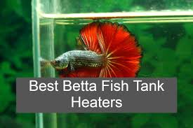 Best Betta Fish Tank Heaters Review And Guide Fish Spark