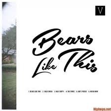 Download Album Spillage Village Bears Like This Zip File Album Village Bear