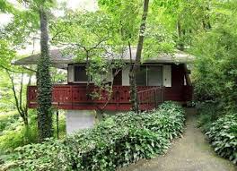 We have pet friendly vacation rentals, so invite your dog! Blue Ridge Parkway Cabin Rentals