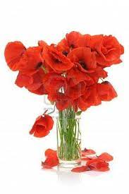 5pcs artificial flower bouquets artificial corn poppy flowers bouquets&papaver rhoeas&coquelicot bunches (red) 5.0 out of 5 stars 3. Bouquet De Coquelicots Memorial Flowers Red Poppies Poppies
