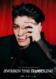 Anyone happen to have picture of awaken the fallen tour merch with prices? 