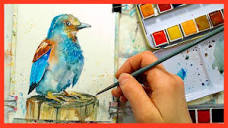 Pretty Bird in Watercolor Panting Tutorial! Plus Q &A at the end ...