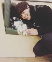 Hello Littleseoul Girl Posts Pets Korean Idol Simba