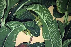 Martinique Banana Leaf Wallpaper Leaf Wallpaper Banana Leaf Wallpaper Banana Leaf