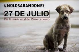 En este día aprovechamos para reconocer y agradecer a todos los perros del mundo por el trabajo, el amor y la compañía que llevan siglos brindándonos. Dia Internacional Del Perro Callejero