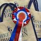 Unaffiliated Dressage @ Sheepgate Equestrian event image