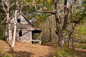 Maybe you would like to learn more about one of these? 30 Magical Wood Cabins To Inspire Your Next Off The Grid Vacay