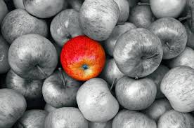 Sind Apfel Im Kern Bose Medizin Transparent