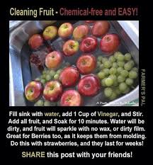 This Really Works Did It All Summer And The Fruit Lasted Longer Than 4 Days Recipes Foods Fruit Veggie Wash Fruit