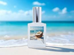 Image result for Ocean Mist 1972 Hussmann