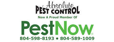 Absolute pest control inc atrodas powhatan. 8rhepcpbyxv05m