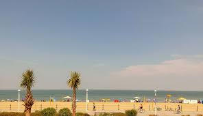 If palm trees make you think of tropical sun and white sugary beaches, it's understandable. Sheraton Virginia Beach Oceanfront Hotel Vbha