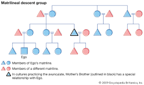 Kinship Descent Theory Britannica
