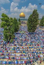 People rushed to put off the fire before spreading to other nearby trees. Palestinian Products Handcrafted With Love Palestine In A Box Masjid Photo Beautiful Mosques