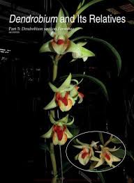 Image result for Manniella