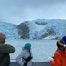 2024 Kenai Fjords and Resurrection Bay Half-Day Wildlife Cruise (Seward)