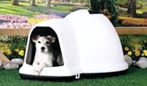 Pin By Dog Training Website On Dog Crate Reviews Igloo Dog