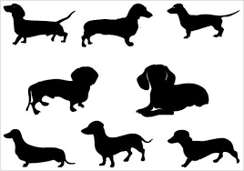 Black And White Dachshund Clipart Pin Em Doxie Love