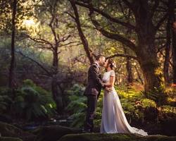 Imagen de Bosque o montaña para una sesión de fotos creativa