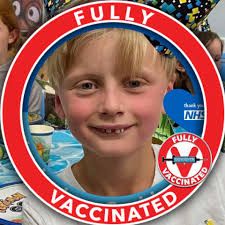 Can anyone help this seagull has been in my parents garden for 5 hours and  isn't trying to go anywhere ? Knocked into something . Is there anyone that  can advise please, thanks