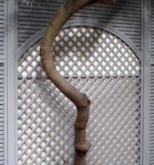 To make the most out of your garden trellis panels, we recommend adorning them with climbing plants. Contemporary Wooden Trellis Panels Essex Uk The Garden Trellis Company