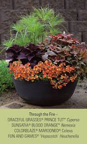 Through The Fire Brings Colorful Annuals And Perennials Together That Will Do Great Fall Container Gardens Container Garden Design Container Gardening Flowers