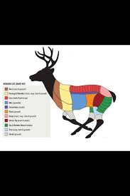 venison butchering chart exactly what i was looking for