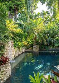 Gorgeous Gardens Crla 22 Tropical Pool Landscaping Tropical Backyard Landscaping Tropical Backyard