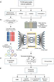 This does not definitely mean you have cancer. Prediction Of Survival And Recurrence In Patients With Pancreatic Cancer By Integrating Multi Omics Data Scientific Reports