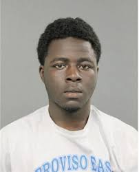 ᐅ Illinois Criminal Records 2009-2025