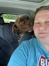 Cody was adopted yesterday ***Hes a happy guy today! ♥️🐶🤗 He is tiny 7  year old male yorkie. Very active and in charge, loves being walked  outside, likes small dogs not big