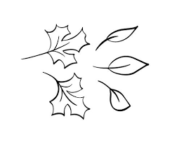 Screenshot de windows 10 en noir et blanc. Collection De Vecteur De Feuilles D 39 Automne Dessines A La Main Croquis Isoles Objets Noir Et Blanc Bel Automne Elements De Dessin 530420 Telecharger Vectoriel Gratuit Clipart Graphique Vecteur Dessins Et Pictogramme